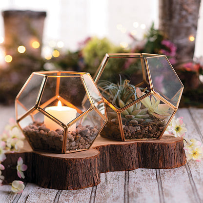 Dodecahedron Geometric Terrarium