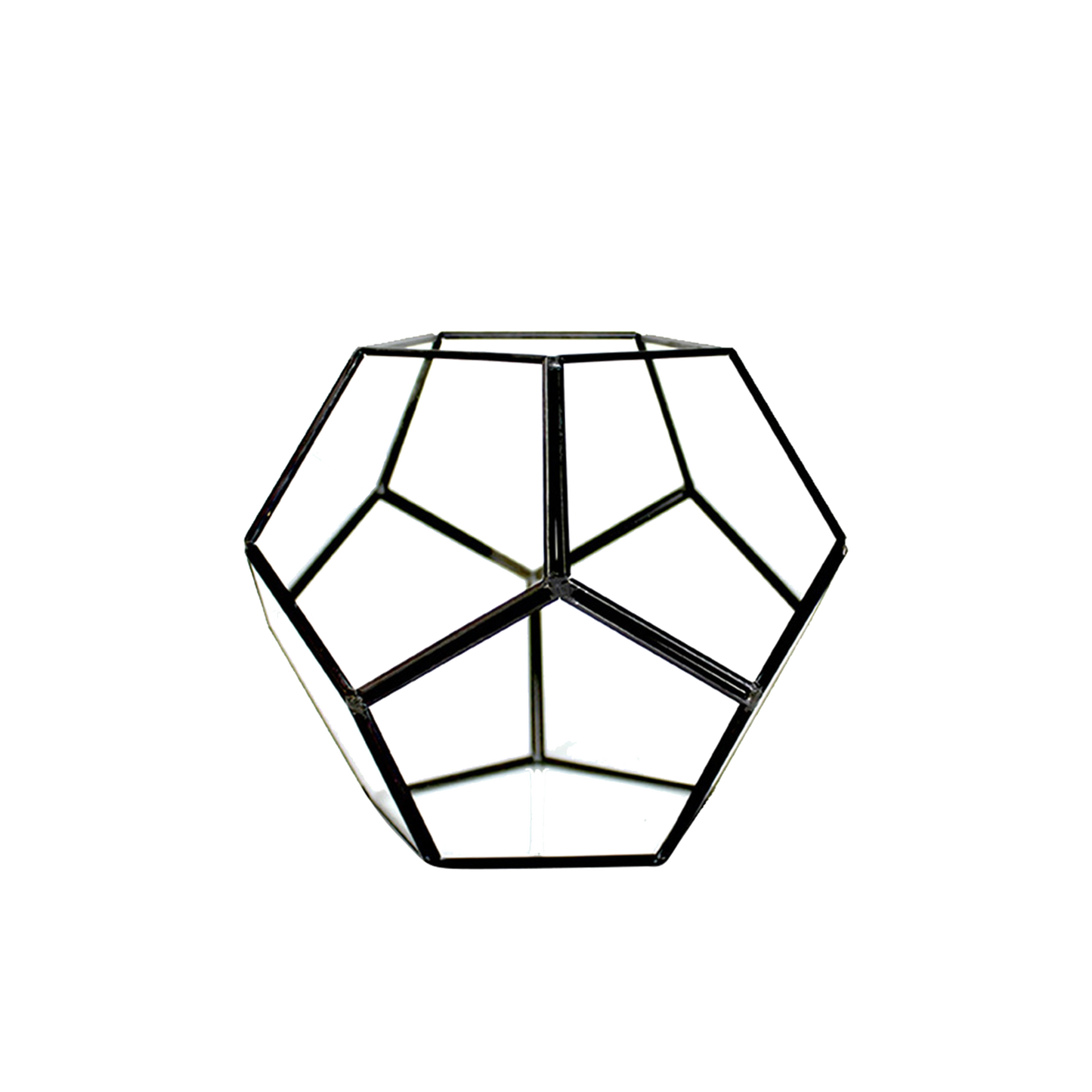 Dodecahedron Geometric Terrarium