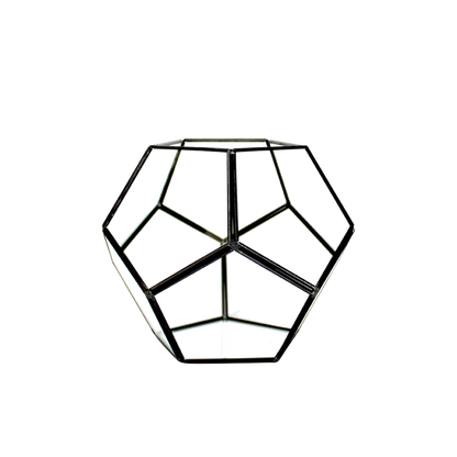 Dodecahedron Geometric Terrarium