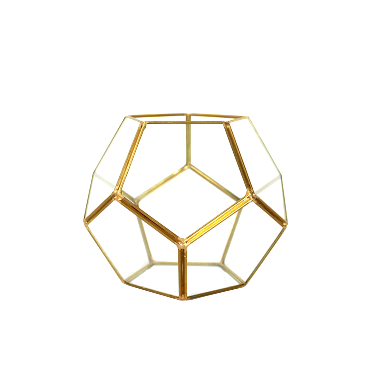 Dodecahedron Geometric Terrarium