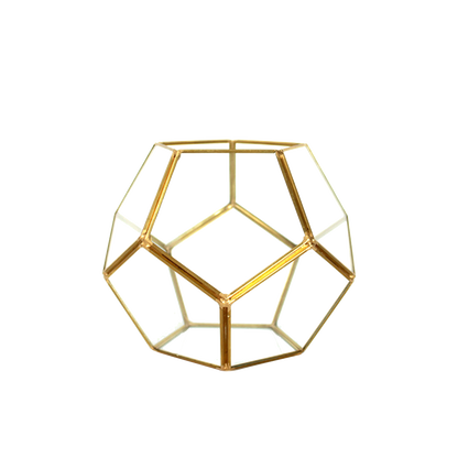 Dodecahedron Geometric Terrarium