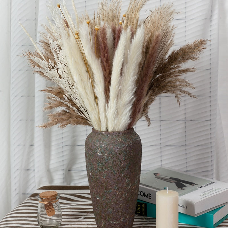 Pampas grass: dove acquistarla online • la tazzina blu