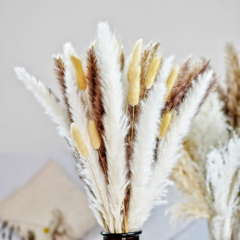 Pampas Grass Bouquet Home Decor – BaliMu