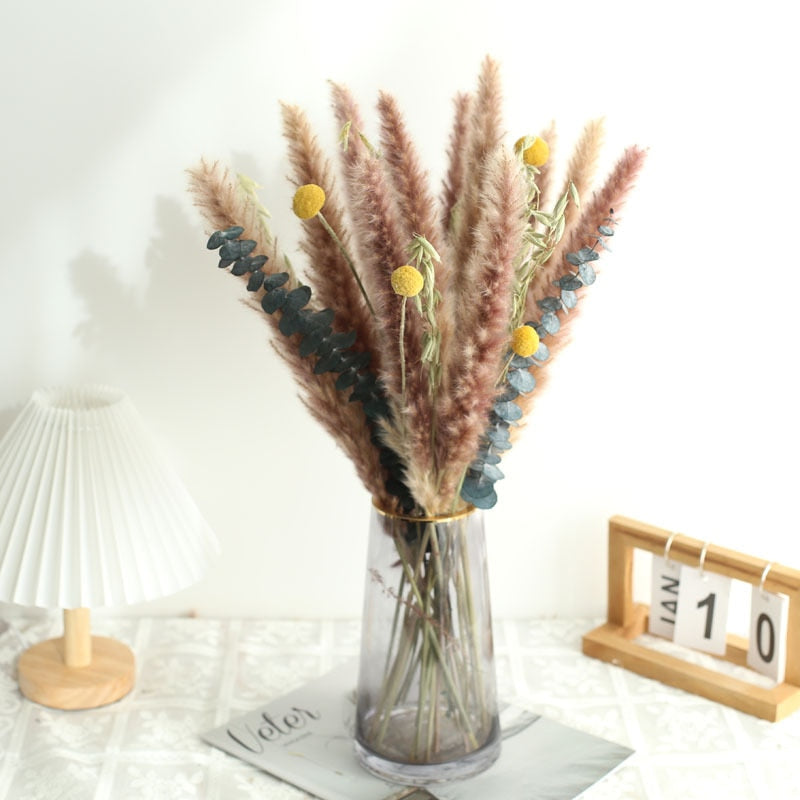 Pampas grass: dove acquistarla online • la tazzina blu